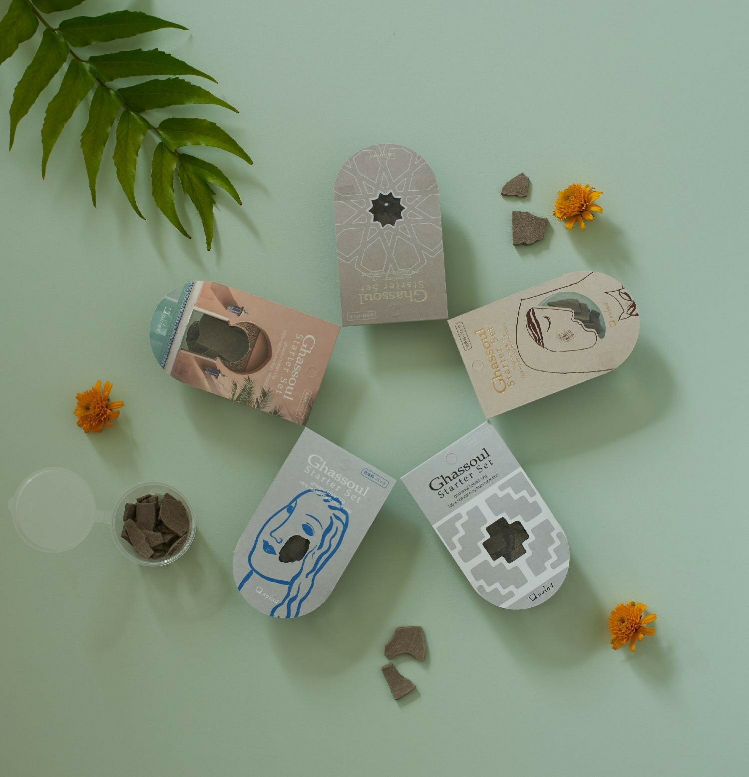 【同種類5個セット】ナイアード ガスール固形 ガスールスターターセット 星/猫/十字/顔/扉【ヘルシ価格..