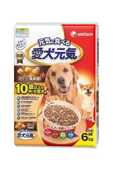 愛犬元気 10歳からの中/大型犬用 6.0kgペット 栄養食 犬用健康食品 高齢犬 中型犬 大型犬 ドッグフード