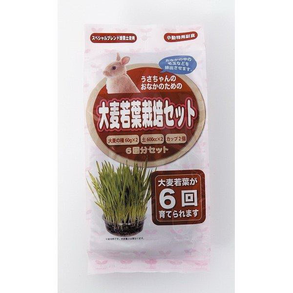 【3個セット】アラタ うさちゃん用大麦若葉栽培セット6回分セットx3個セット【ヘルシ価格】 ペット 小動物用品 うさぎ 食品 えさ 餌 大麦若葉 栽培セット