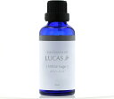LUCAS エクストラ・エッセンシャルオイル ホワイトセージ 50ml【楽天倉庫直送h】 アロマ エッセンシャルオイル 精油 アロマオイル リラクゼーション ヨガ(4)
