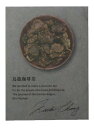 【50個セット】等級:上品質 烏龍珈琲茶 2gx50個セット【直送品】【返品キャンセル不可】 お茶 ドリンク ティーバッグ