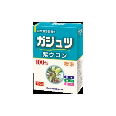 ガジュツ粉末100％ 紫ウコン 100g【楽天倉庫直送h】 健康食品 サプリメント 紫ウコン