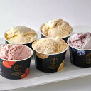 【直送品】銀座千疋屋 銀座プレミアムアイス10個 食品 スイーツ アイスクリーム ギフト プレゼント|詳細画像