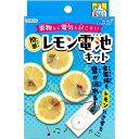 【2個セット】てのひら実験室 簡単 レモン電池キット 1セットx2個セット【楽天倉庫直送h】 キッズ 子供 学校 教材 工作 夏休み 自由研究 宿題
