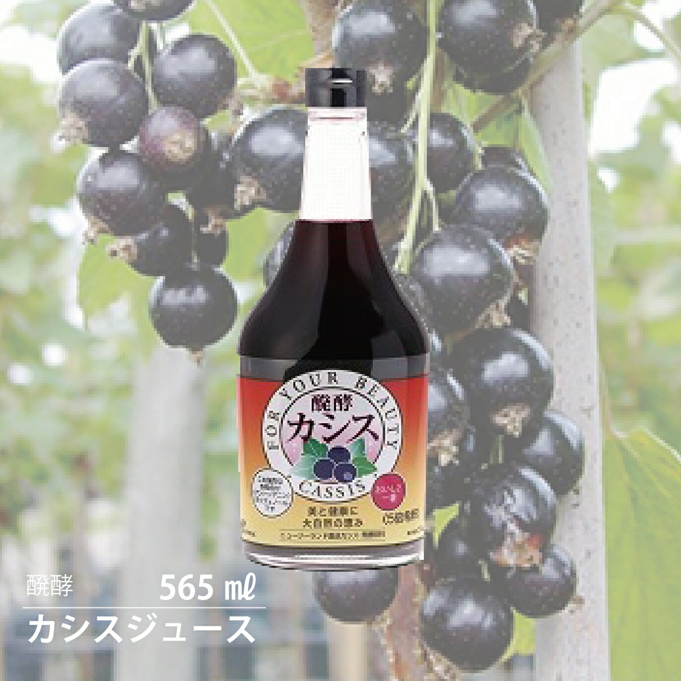 【TVで紹介されました】ジャフマック 醗酵カシス飲料 565ml　ポリフェノール　果実100％　ジュース　自然派 無添加　安心 自然食品 ナチュラルのサムネイル