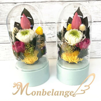 プリザーブドフラワー 仏花 ガラスドーム ドリンク メッセージ プリザーブドフラワー 仏花 ガラスドーム ドリンク メッセージ