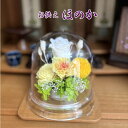 お供え 仏花 ほのか 1個 メモリアルフラワー お悔み お供え 仏前 法事 初盆 三回忌 七回忌 十三回忌 十七回忌 お彼岸 命日 ブリザーブドフラワー ガラス...
