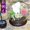 お供え ギフト 胡蝶蘭 1個 ブリザーブドフラワー 仏花 メモリアルフラワー お供え 仏前 法事 初盆 三回忌 七回忌 十三回忌 十七回忌 お彼岸 命日 お悔み...