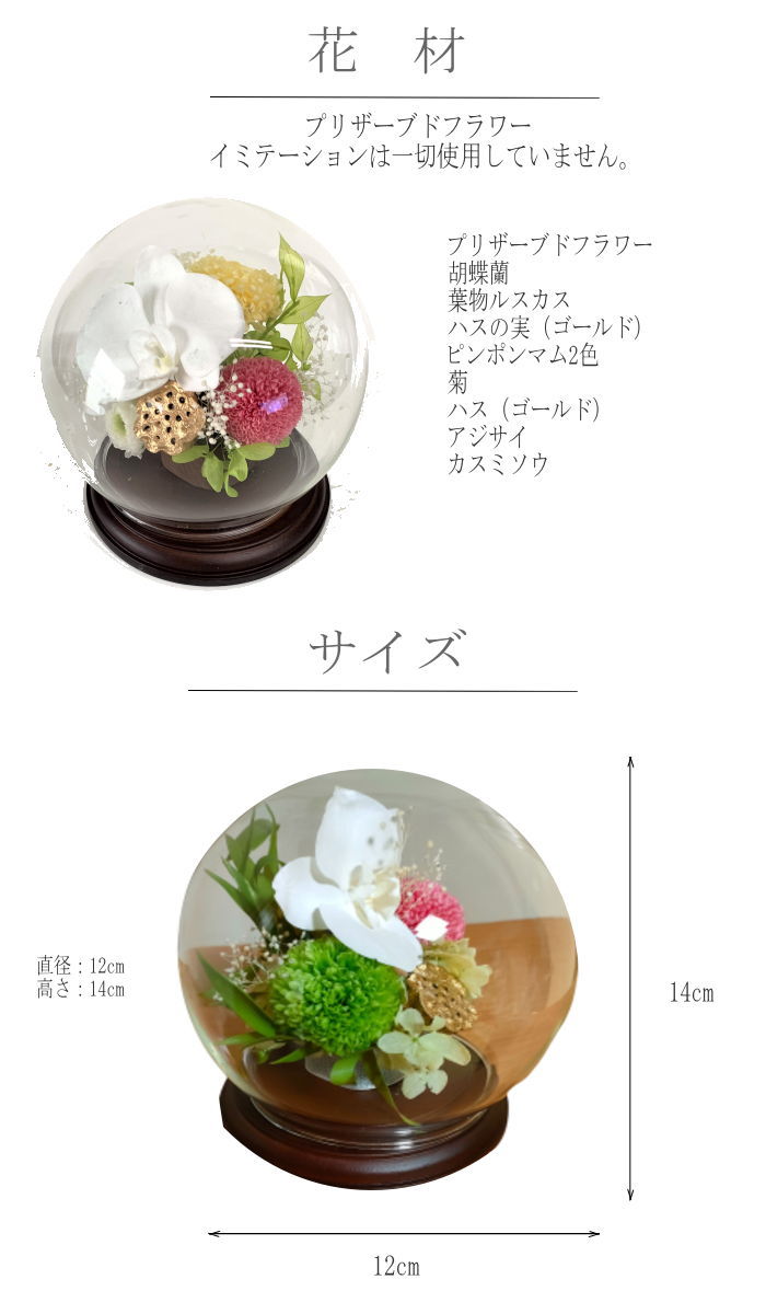 お供え 胡蝶蘭 1個 ブリザーブドフラワー 仏花 メモリアルフラワー お供え 仏前 法事 初盆 三回忌 七回忌 十三回忌 十七回忌 お彼岸 命日 お悔み ガラスドーム