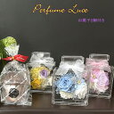 父の日ブリザーブドフラワージニア パフューム お菓子2個付き Mサイズ 香水瓶 アクリルケース 可愛い おしゃれ クリスマス プレゼントワイトデー 結婚祝い 誕生祝い 出産祝い 新築祝い 退職祝い 還暦祝い(4)