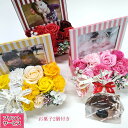 ポイント5倍 【遅れてごめんね】 母の日お菓子2個付き ストライプ シャボン フォト フレーム ソープ フラワー 写真立て 結婚祝い 誕生祝い 出産祝い 新築祝...