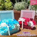 【遅れてごめんね】 母の日 ポイント5倍 ソープ フラワー ストライプフレーム フォト 写真立て 結婚祝い 誕生祝い 出産祝い 新築祝い 退職祝い 還暦祝い お...
