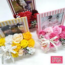 【遅れてごめんね】 母の日 ポイント5倍 ソープ フラワー ストライプシャボン フォト フレーム 写真立て 結婚祝い 誕生祝い 出産祝い 新築祝い 退職祝い 還...