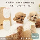 【LINE追加10%OFFクーポン】 moncheri モンシェリ 犬 服 ドッグウェア Tシャツ・カットソー かわいい おしゃれ 人気 ブランド トイプードル チワワ 小型犬 中型犬