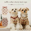【LINE追加10%OFFクーポン】 moncheri モンシェリ 犬 服 ドッグウェア セーター・ニット かわいい おしゃれ 人気 ブランド トイプードル チワワ 小型犬 中型犬