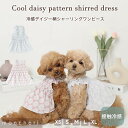 【LINE追加10%OFFクーポン】 moncheri モンシェリ 犬 服 ドッグウェア ワンピース かわいい おしゃれ 人気 ブランド トイプードル チワワ ...
