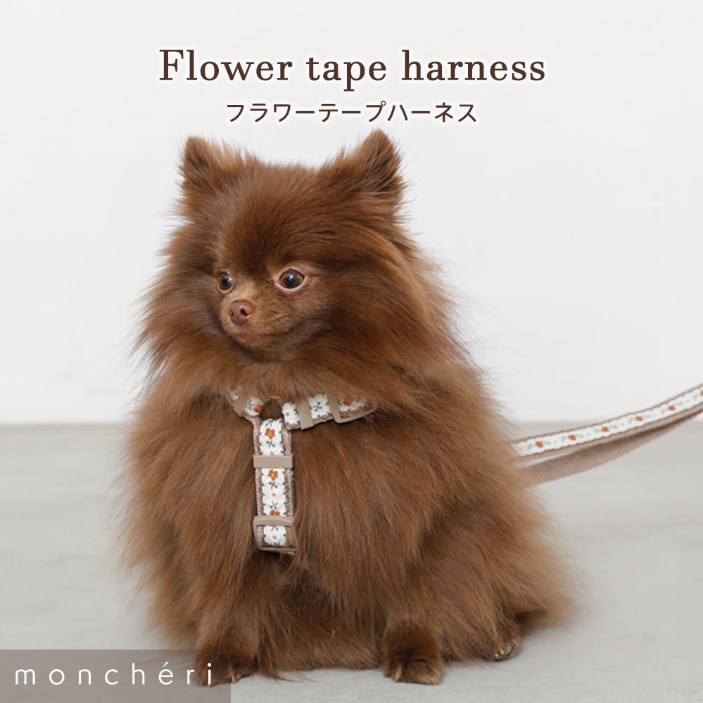 【LINE追加10%OFFクーポン】 moncheri モ