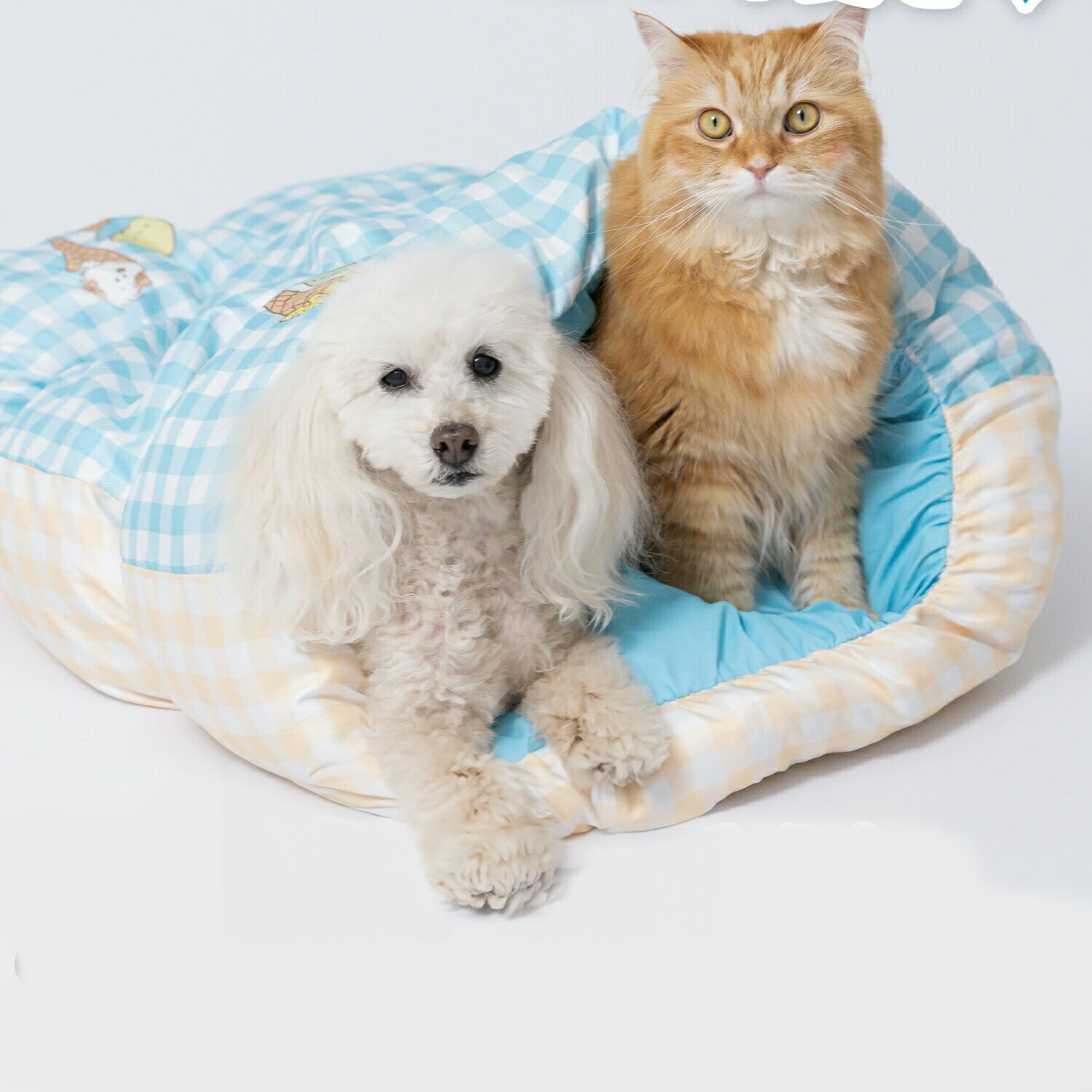 ���̡��ԡ� SNOOPY PEANUTS ������������⤰���| �ڥå��� �� ǭ ���å��� �뤵�к�