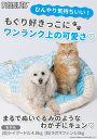 スヌーピー SNOOPY PEANUTS アイスクールもぐりん| ペット用 犬 猫 リラックス 暑さ対策