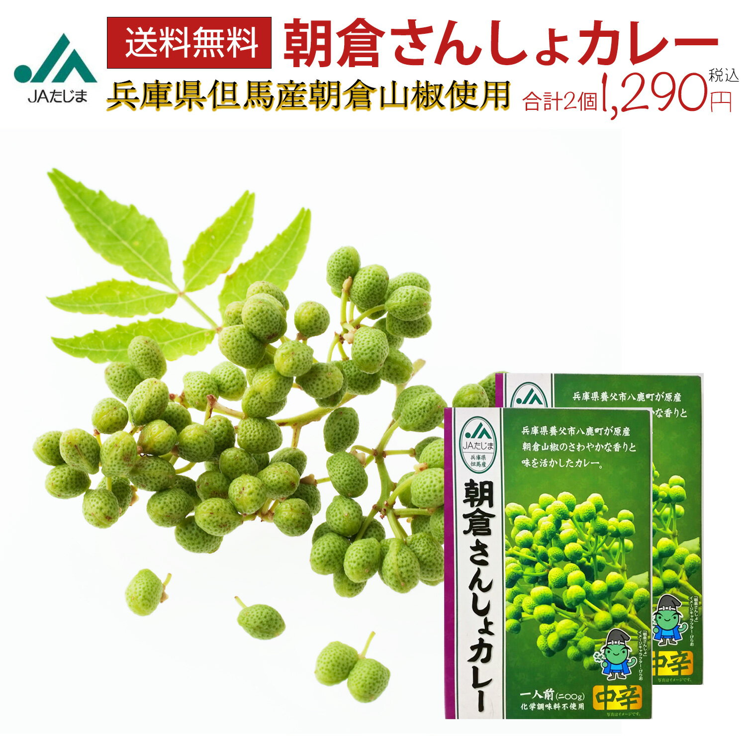 【最安値に挑戦中】朝倉さんしょ カレー レトルトカレー 2箱 2個 山椒 兵庫県 但馬世界のカレー 高級カレー 高級 激辛 中辛 カレーライス レトルト レンジ クリックポスト ご当地カレー