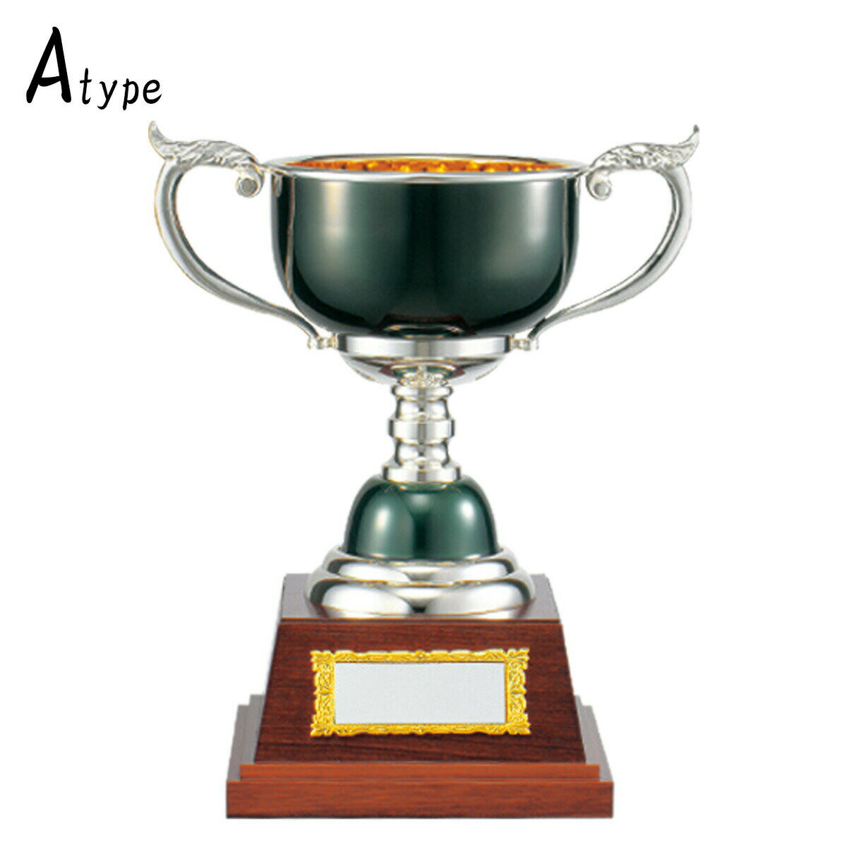 ͥ�� ��� ����� ����� �������� V-Shika ����������� �������å� CLN.1406-A A ��IR��