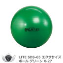 ライト SDS-65 エクササイズボール グリーン X-27