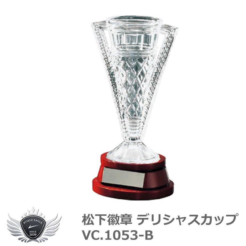 松下徽章 デリシャスカップ VC.1053-B Bタイプ ゴルフボール 【IR】