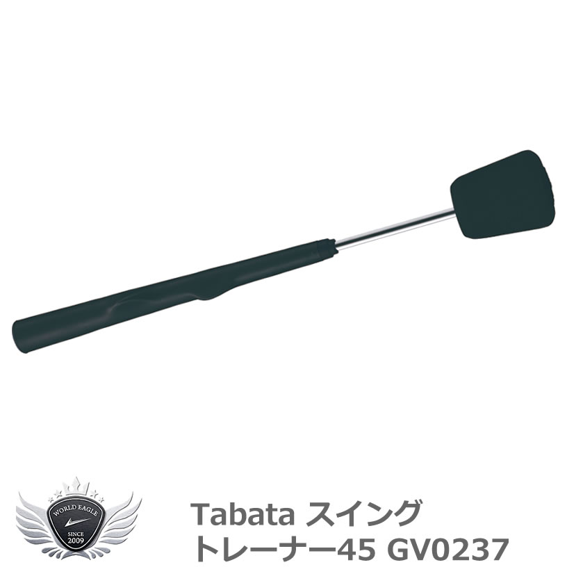 TABATA 󥰥ȥ졼ʡ45 GV0237