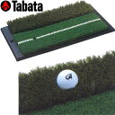 ゴルフ用品 練習用品 ネット マット タバタ 2WAYショット&ラフマット GV-0264 【IR】
