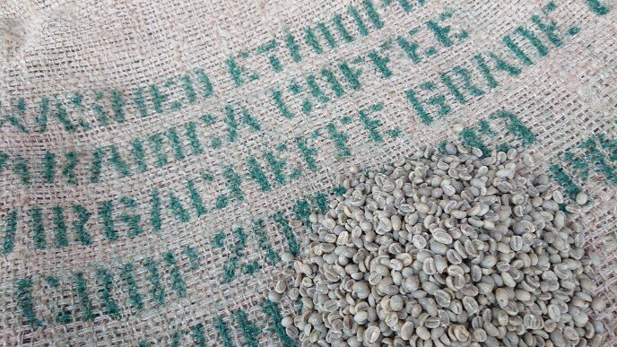 エチオピア　イルガチェフ　G-1　ウォッシュド　アダメ　1kg　　　　（コーヒー生豆）