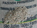 ブラジル　ファゼンダ　サンジュダスタデウ　5kg (コーヒー生豆）