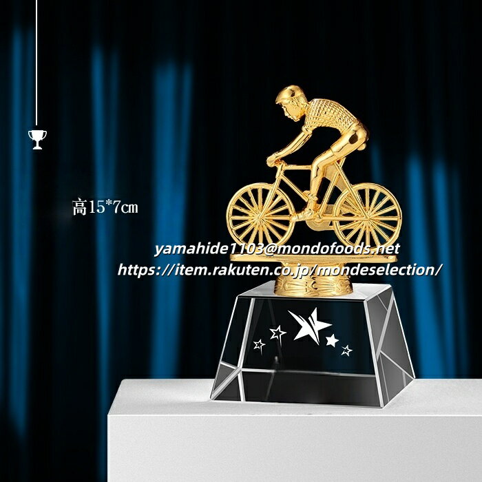 文字彫刻無料 クリスタルトロフィー 役職章 階級章 功労者章 資格章 会員章 褒章 表彰バッジ ランク 社章 金銀銅メッキ スワロフスキー 背景色 役職 階級 企業 社内表彰 記念品 表彰記念品店 専門店従業員 モチベーションアップ トロフィー 楯（盾） 記念品 ギフト