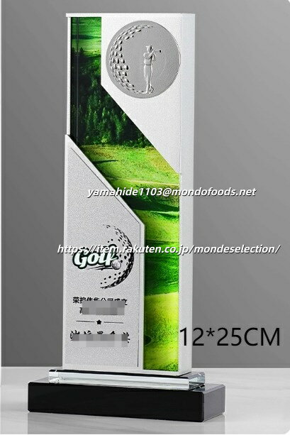 樂天商城 - ゴルフ golf エージシュート トロフィー カップ 楯 ゴルフトロフィー トロフィーゴルフ ゴルフコンペ オリジナル 彫刻無料 trophy とろふぃー エイジシュート age shoot【名入れ】MVP