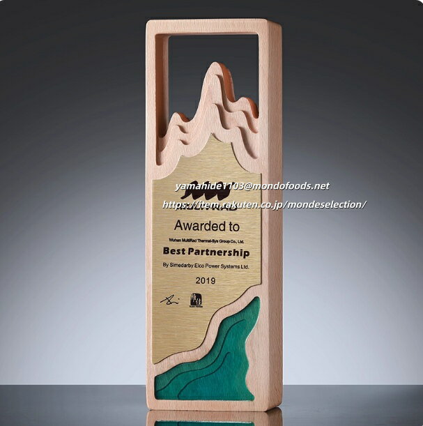 【ロゴOK】【名入れギフトにおすすめ!】トロフィー クリスタル ガラス 名入れ 記念品 叙勲記念 表彰状 加工費込 クリスタル楯 表彰楯 ゴルフコンペ 【デザイ...