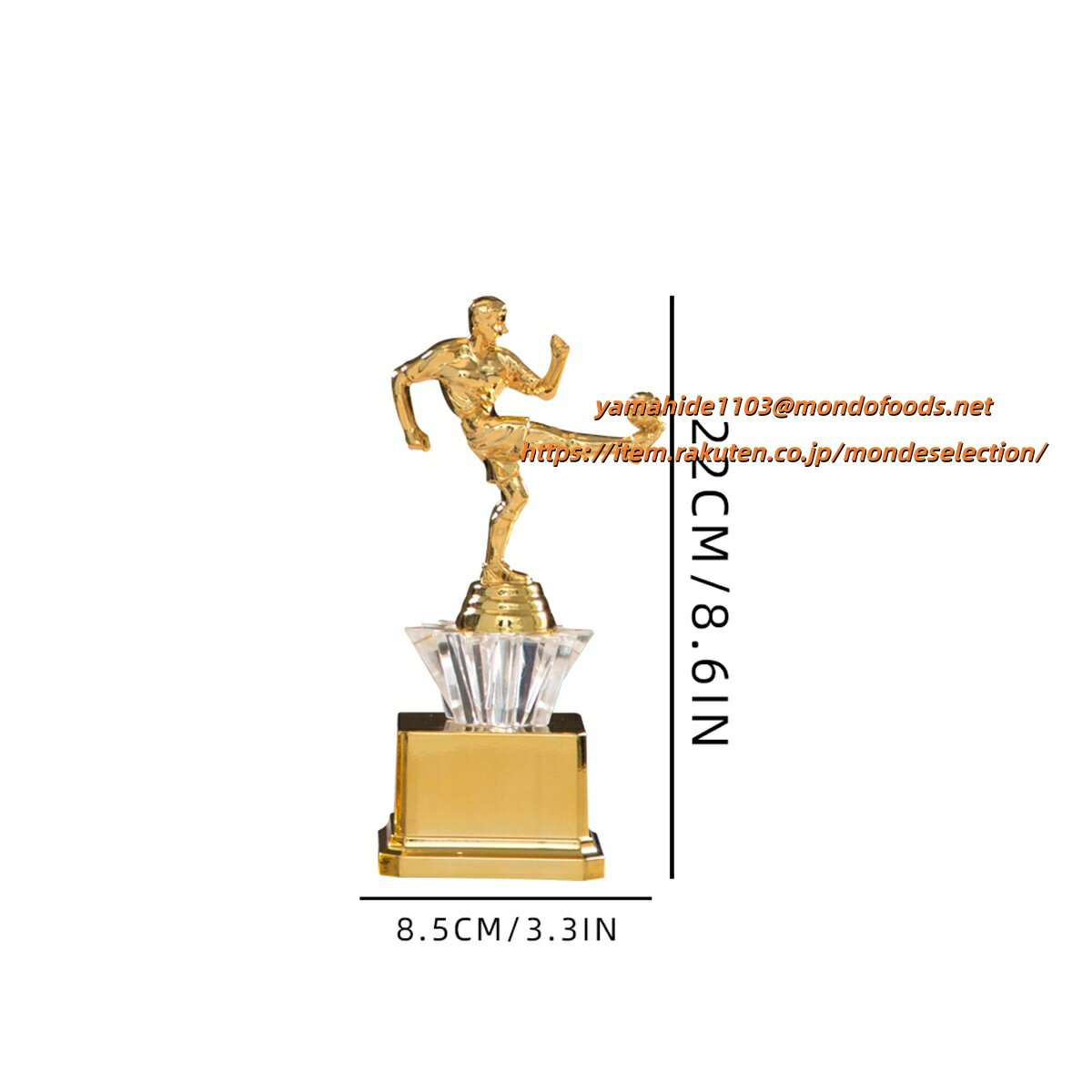 文字彫刻無料 クリスタルトロフィー 空手 柔道 剣道 弓道 アーチェリー ボクシング キックボクシング ..