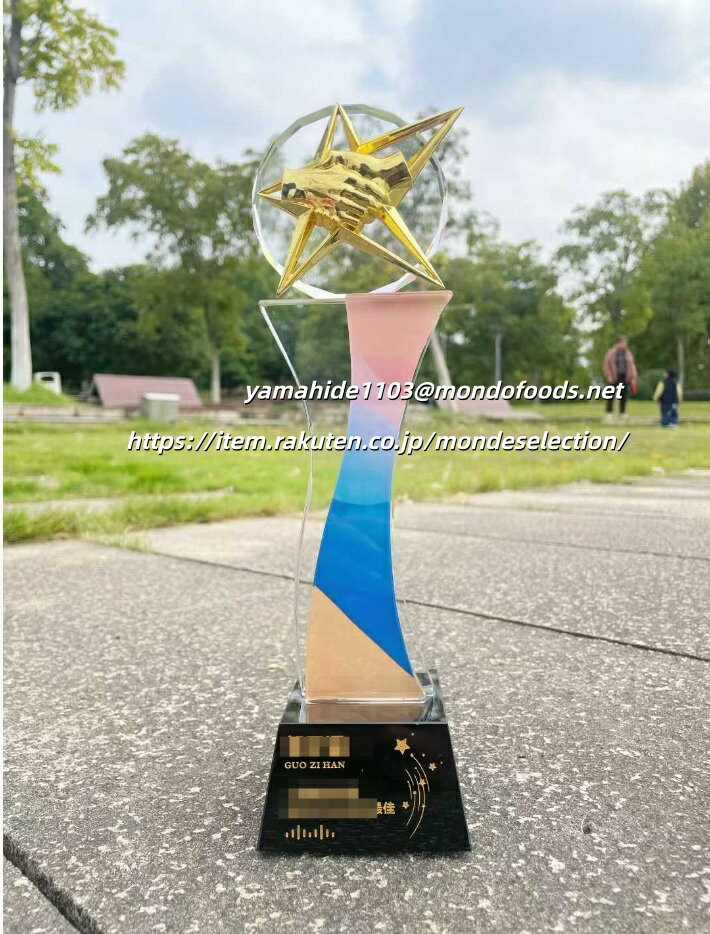 trophy とろふぃー 送料無料 名入れ ロゴマークOK【ポイントアップ祭】トロフィー クリスタル 優勝 ガ..