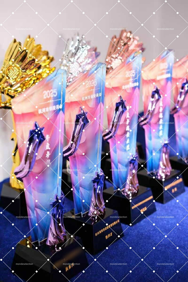 乐天商城 - クリスタルトロフィー 表彰品 記念品 贈り物 表彰 トロフィー お祝い いいねトロフィー 優勝トロフィー 優勝カップ トロフィ 表彰 スポーツ大会 おもしろ 景品 表彰メダル コンパクト おしゃれなデザイン 飾りやすく オフィス MVP 王冠 鳳凰 女神