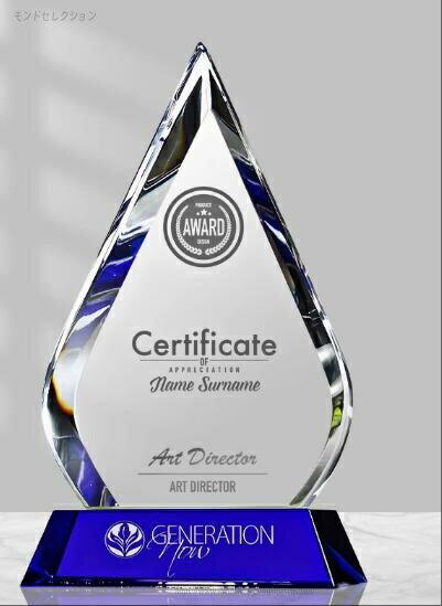 22*13cm 文字彫刻無料　クリスタルトロフィー