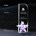 文字彫刻無料 クリスタルトロフィー 完全オリジナルデザイン オリジナルトロフィー 透明度 仕上がり 年配 記念 企業 大切な方 団体 年間表彰 イベント用 イメ...