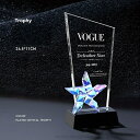 文字彫刻無料 クリスタルトロフィー 完全オリジナルデザイン オリジナルトロフィー 透明度 仕上がり 年配 記念 企業 大切な方 団体 年間表彰 イベント用 イメ...