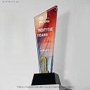 【送料無料】26.5*8cm 文字彫刻無料 トロフィー スポーツ大会 コンテスト コンクール 記念品 表彰シーン コンパクトトロフィー 煌びやかな 豪華な チャ...