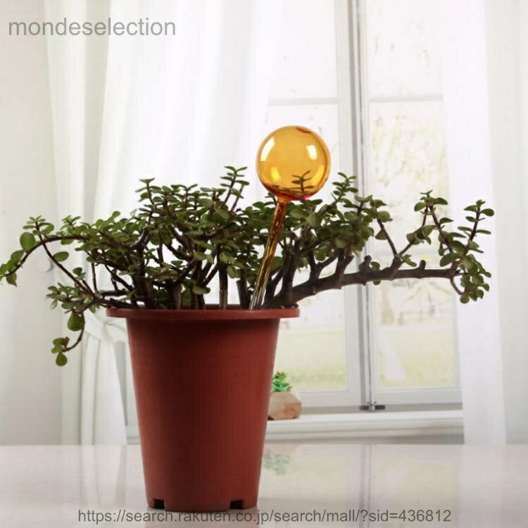 【送料無料】水差し 鉢植え 観葉植物 自動給水器 2個セット 自動水やり器 給水 カ...