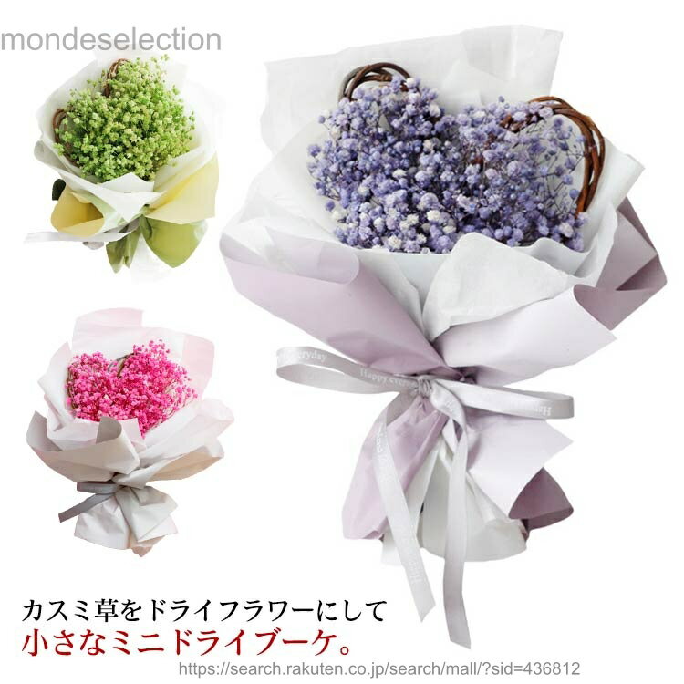 【送料無料】かすみ草 ドライフラワー カスミソウ ミニ ブーケ 花束 ギフト プレゼント ホワイトデー 誕生日 お祝い お返し 母の日 友達 おしゃれ かわいい 贈り物 送別 退職 卒業