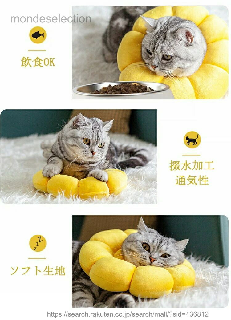 ������̵���ۥ��ꥶ�٥����顼 ǭ�� ���� ���ե� ���餫 �ʼ� ���� �Ѹ� ���餫�� �إ륹���� �ݸ�� ���Ӥ��ɻ� �����ɻ� �Ѹ奦���� ��Ŭ Ĵ����ǽ �����ݸ� ���Ӥ��ɻ�