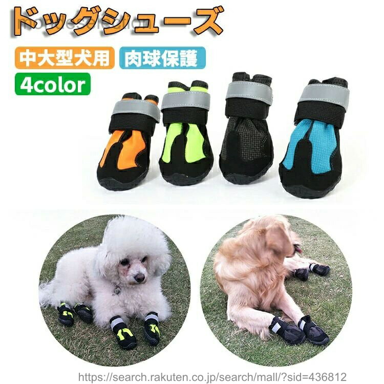 ������̵���۸��ѷ� �ɥå��֡��� �ɥå����塼�� ���緿 �����ݸ� ������ ������֡��� ���� �� ��­?���­/4­���å� �ɿ� �ޥ��å��ơ��� �ڥåȲ�...