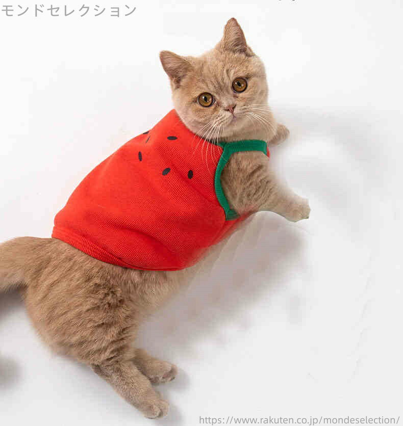 【送料無料】虫よけ 防蚊 接触冷感 猫の服 犬の服 こてつ ドッグウエア ウェア 犬...