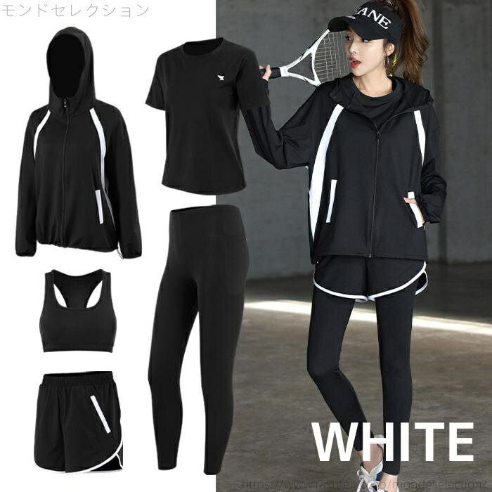 ������̵���ۥ�ǥ����� 5�����å� �岼���å� �쥮�� �襬������ �ȥåץ� �ѡ����� ���硼�ȥѥ�� ���˥󥰥�����