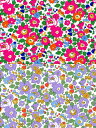 LIBERTYリバティプリBetsy(ベッツィ)カットクロス2枚セット3332019