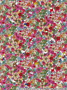 LIBERTYHello Kitty 50th Anniversary Collectionn[LeBoeBvgnFruit Grove(t[cO[u)bh110cmDC33496-J24B