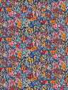 格安ハギレセール品LIBERTYVirginia Meadow(ヴァージニアメドウ)マルチカラー国産2019年春夏柄3639117-19BT110cm巾60cm